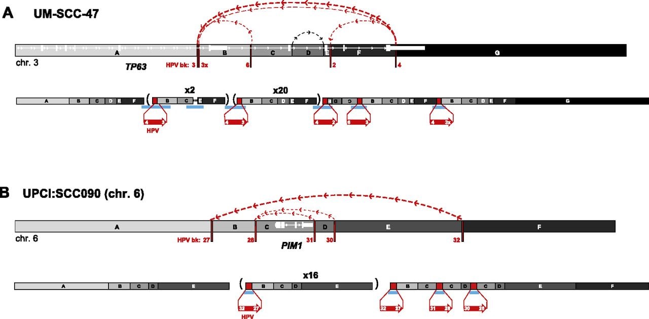 185fig5