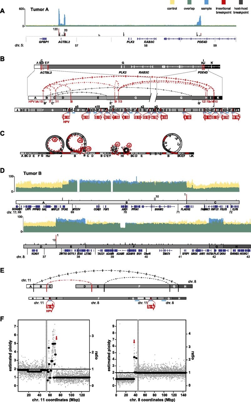 185fig6
