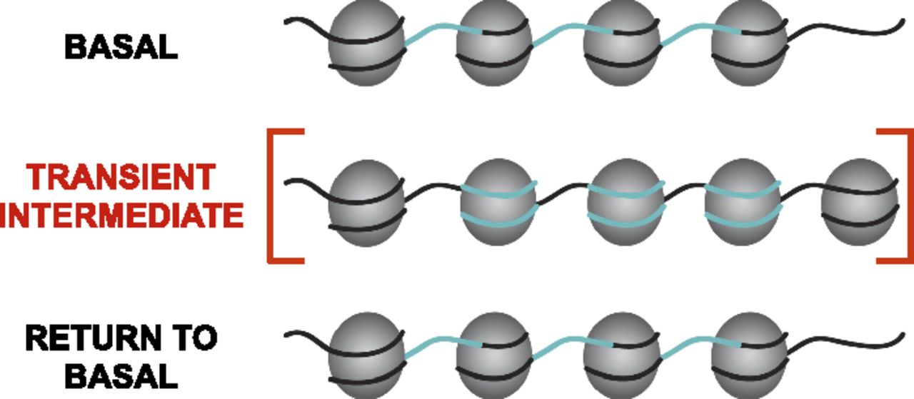 251fig4