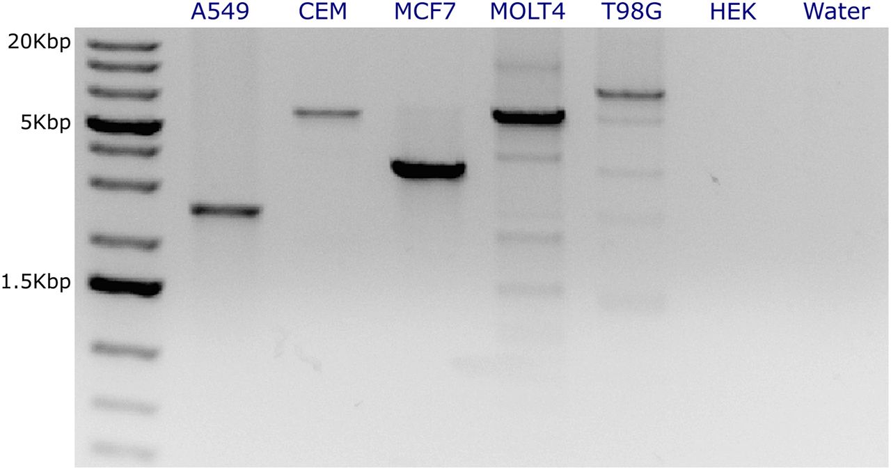 318fig5