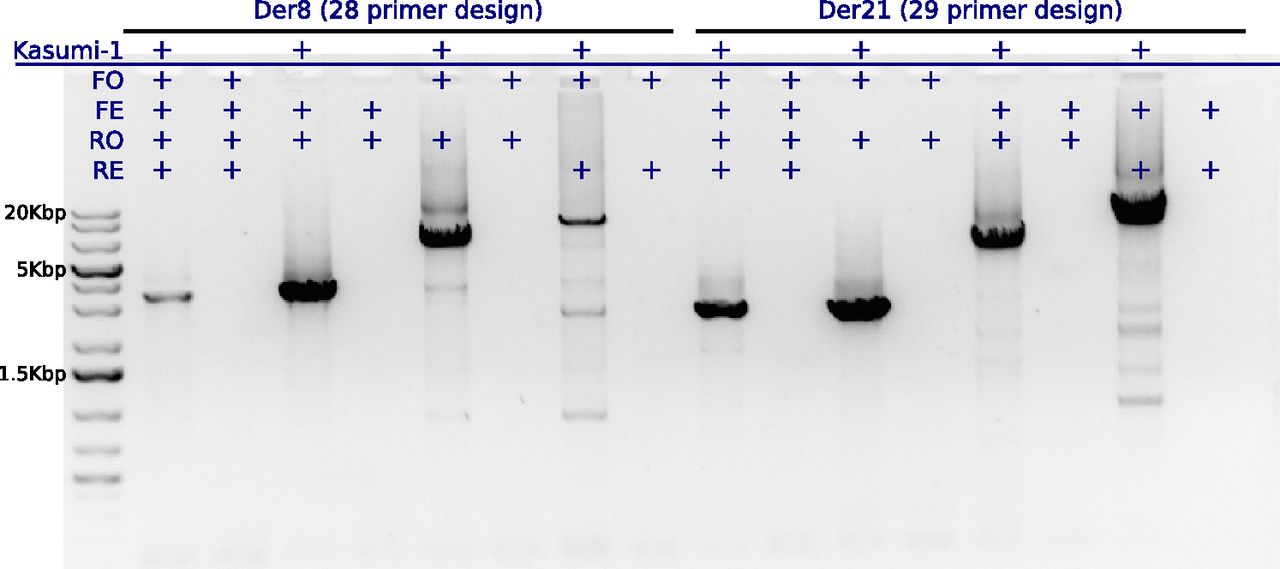 318fig6