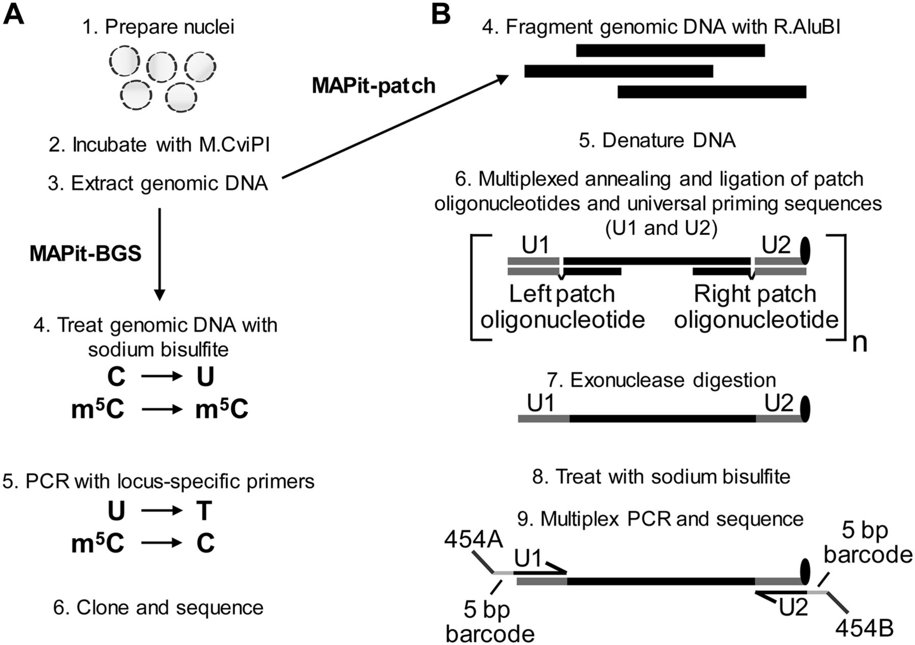 329fig1