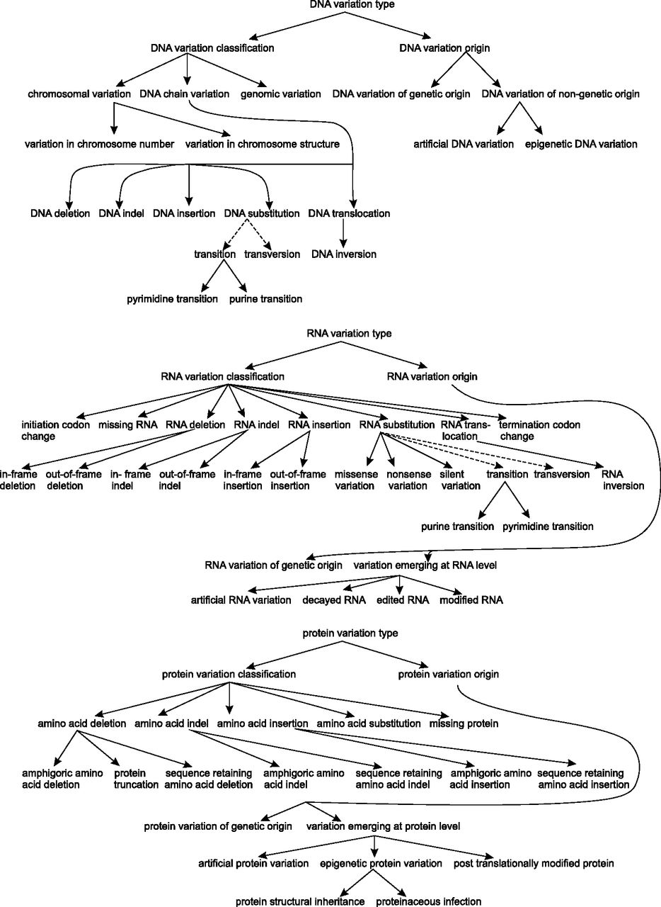 356fig2