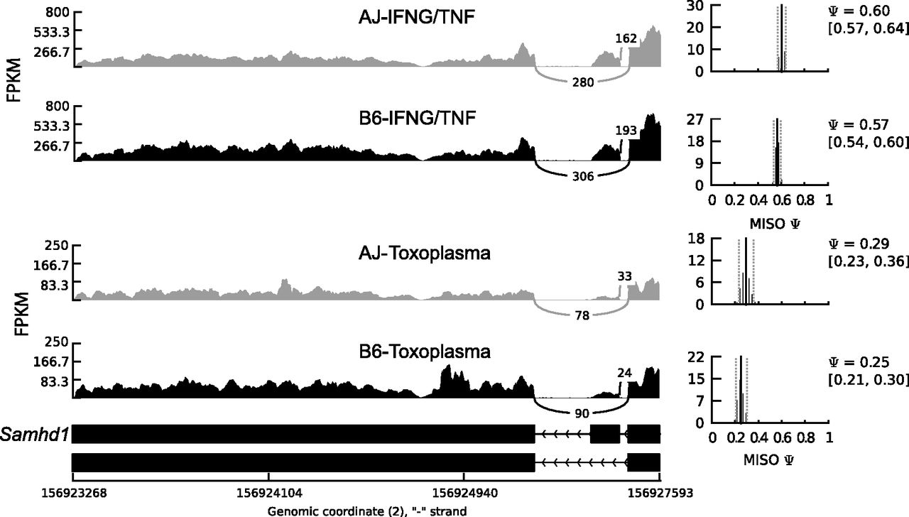 377fig2