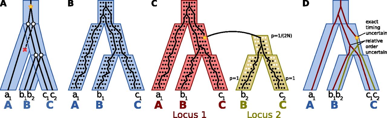 475fig1