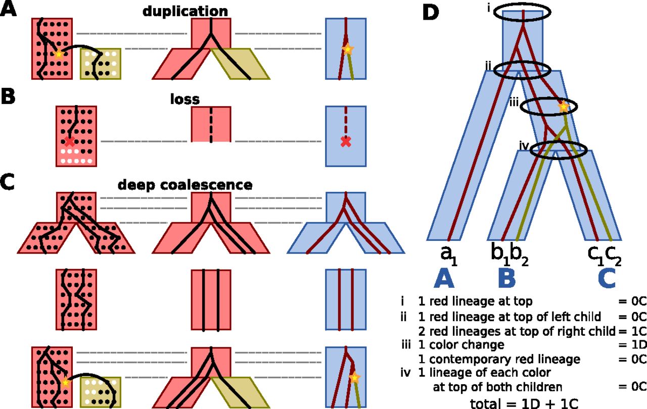 475fig2