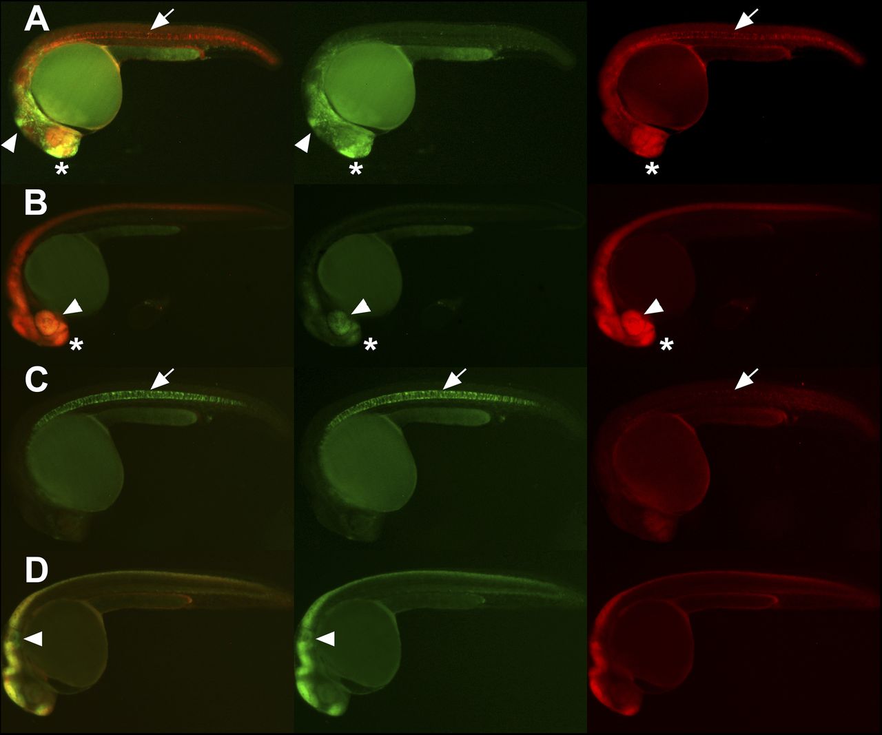 487fig2