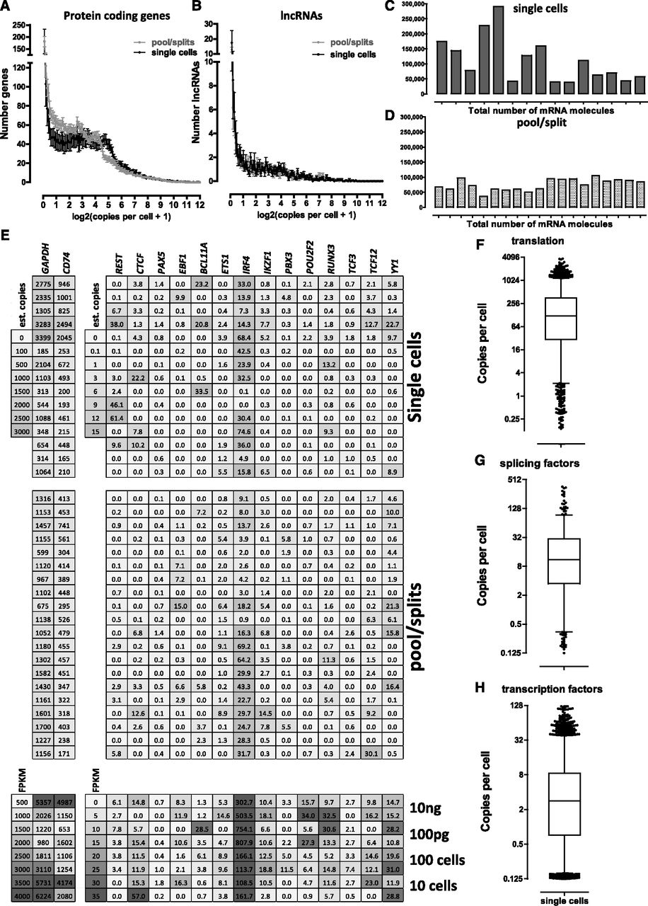 496fig3