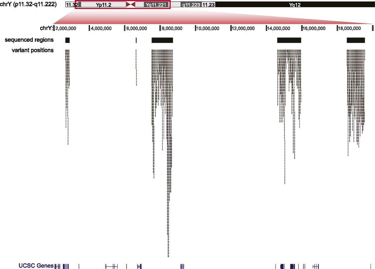 535fig1