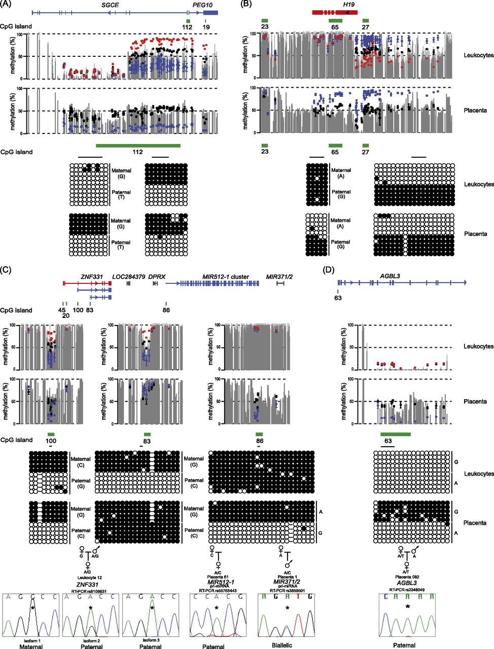 554fig4