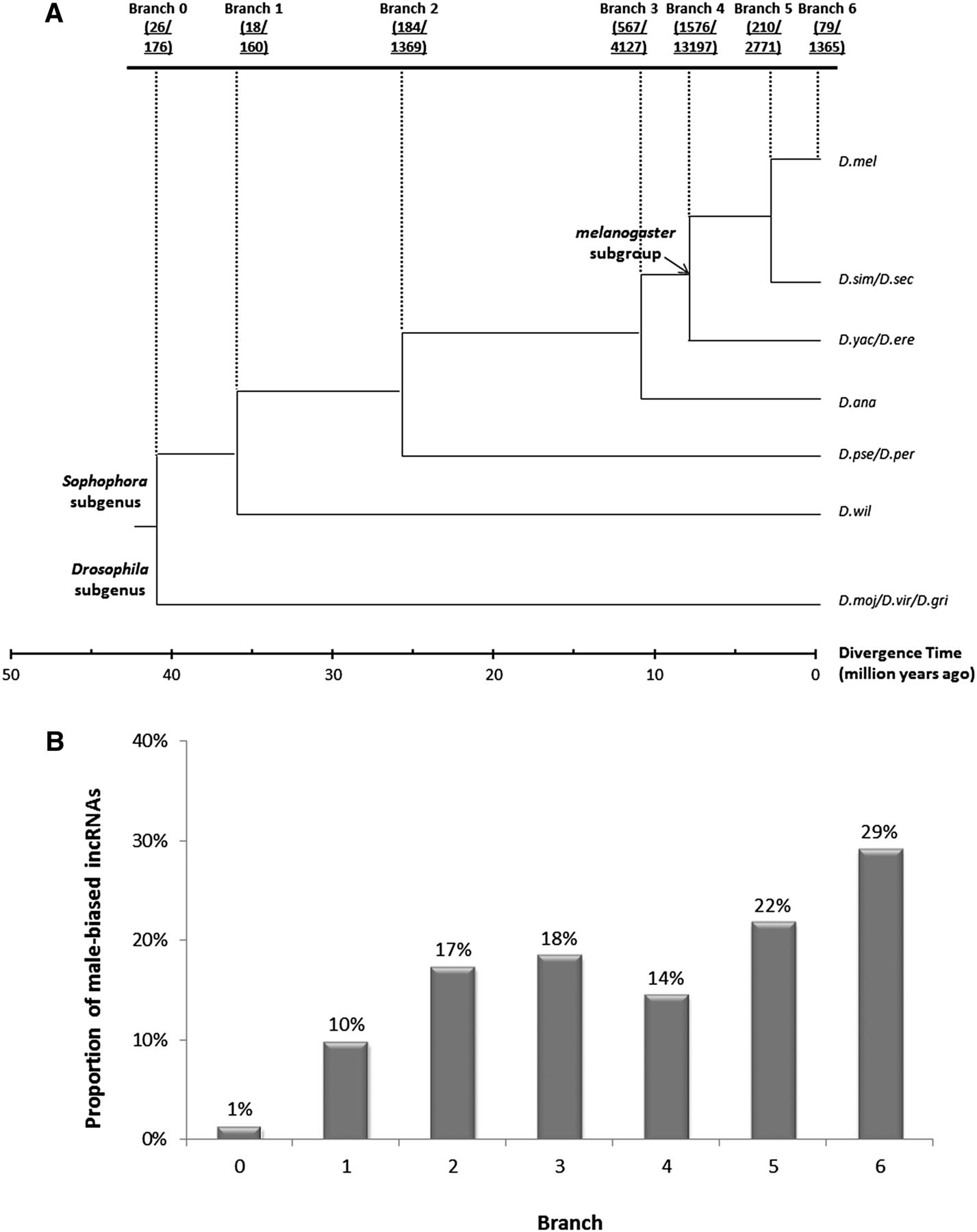 629fig4