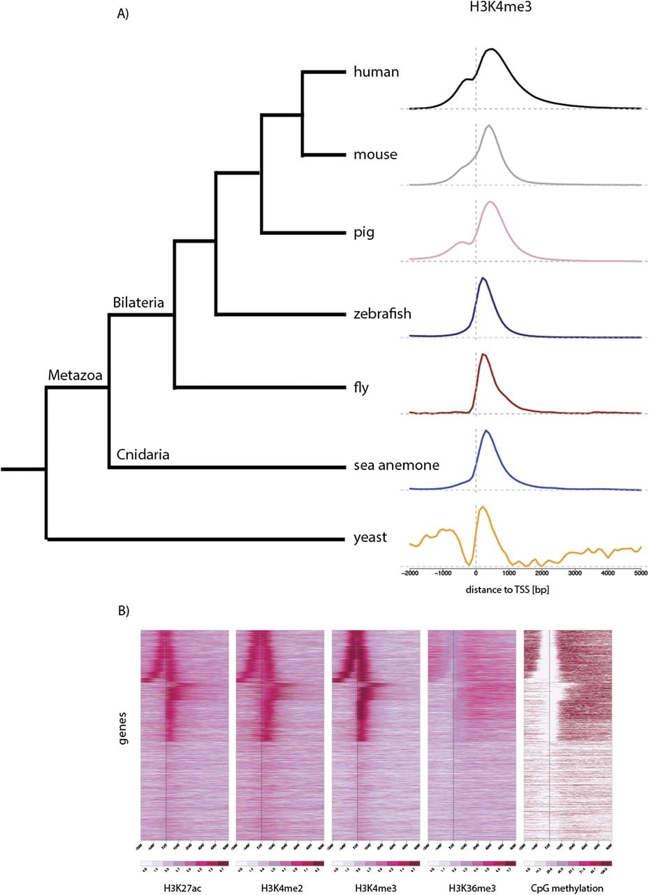 639fig1