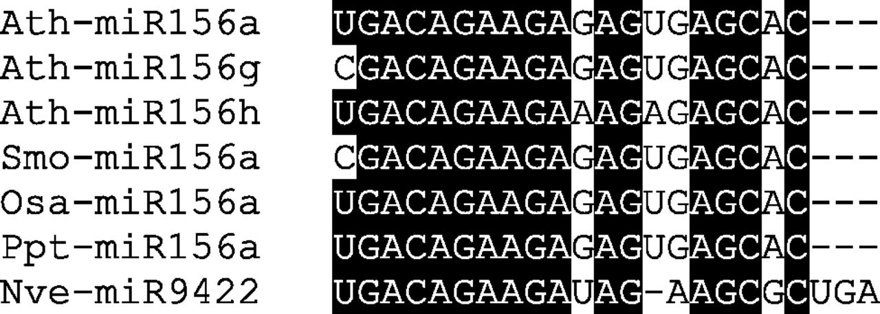 651fig6