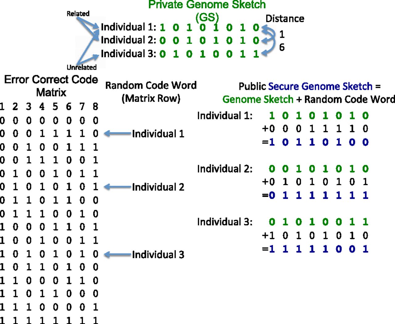 664fig3