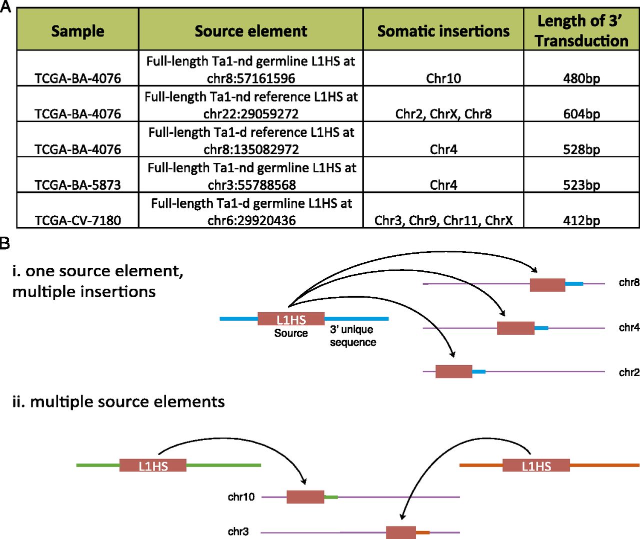 1053fig3