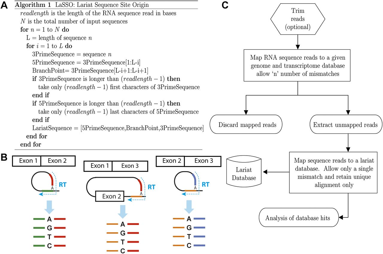 1169fig4