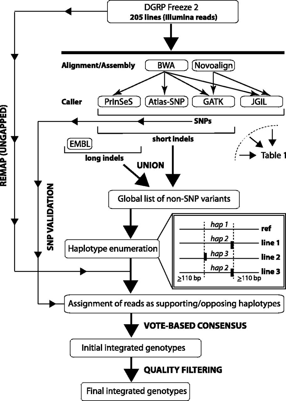 1193fig1