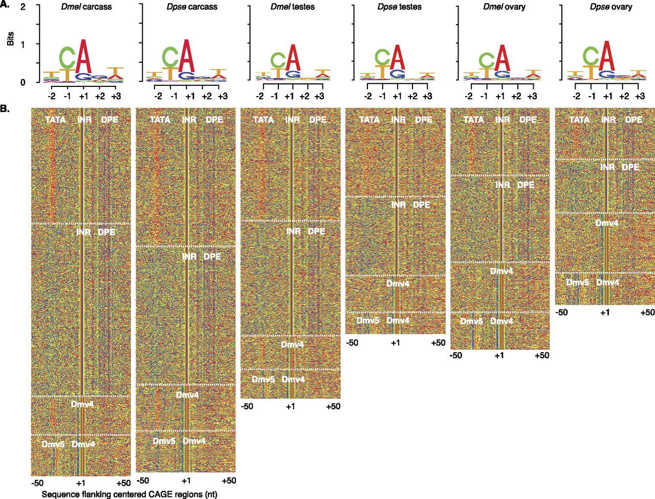1209fig4