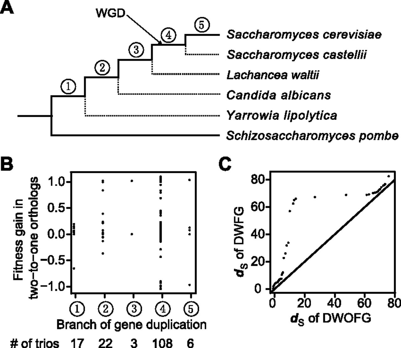 1356fig3
