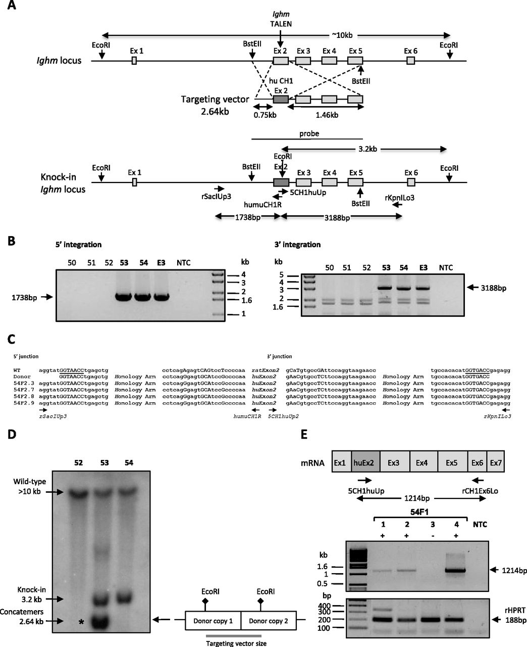 1371fig4
