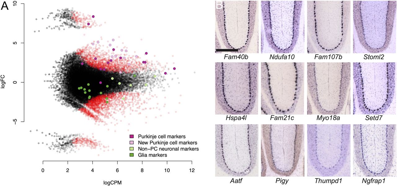 1396fig3