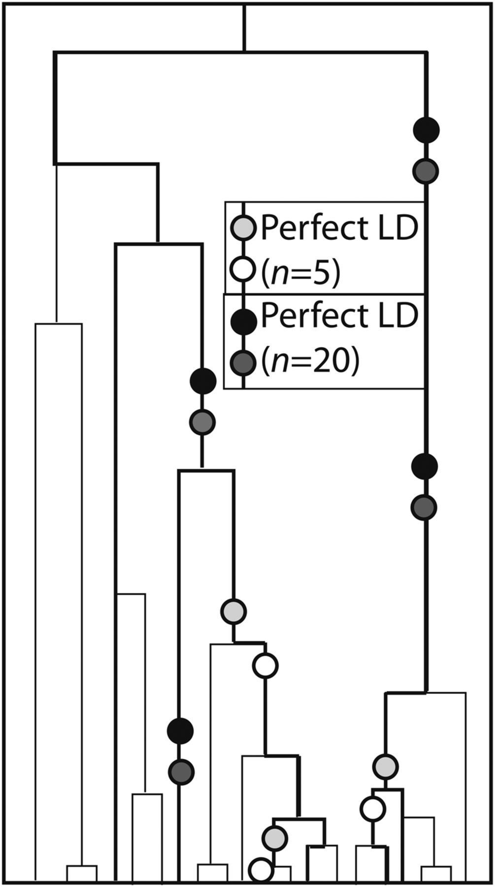 1445fig4
