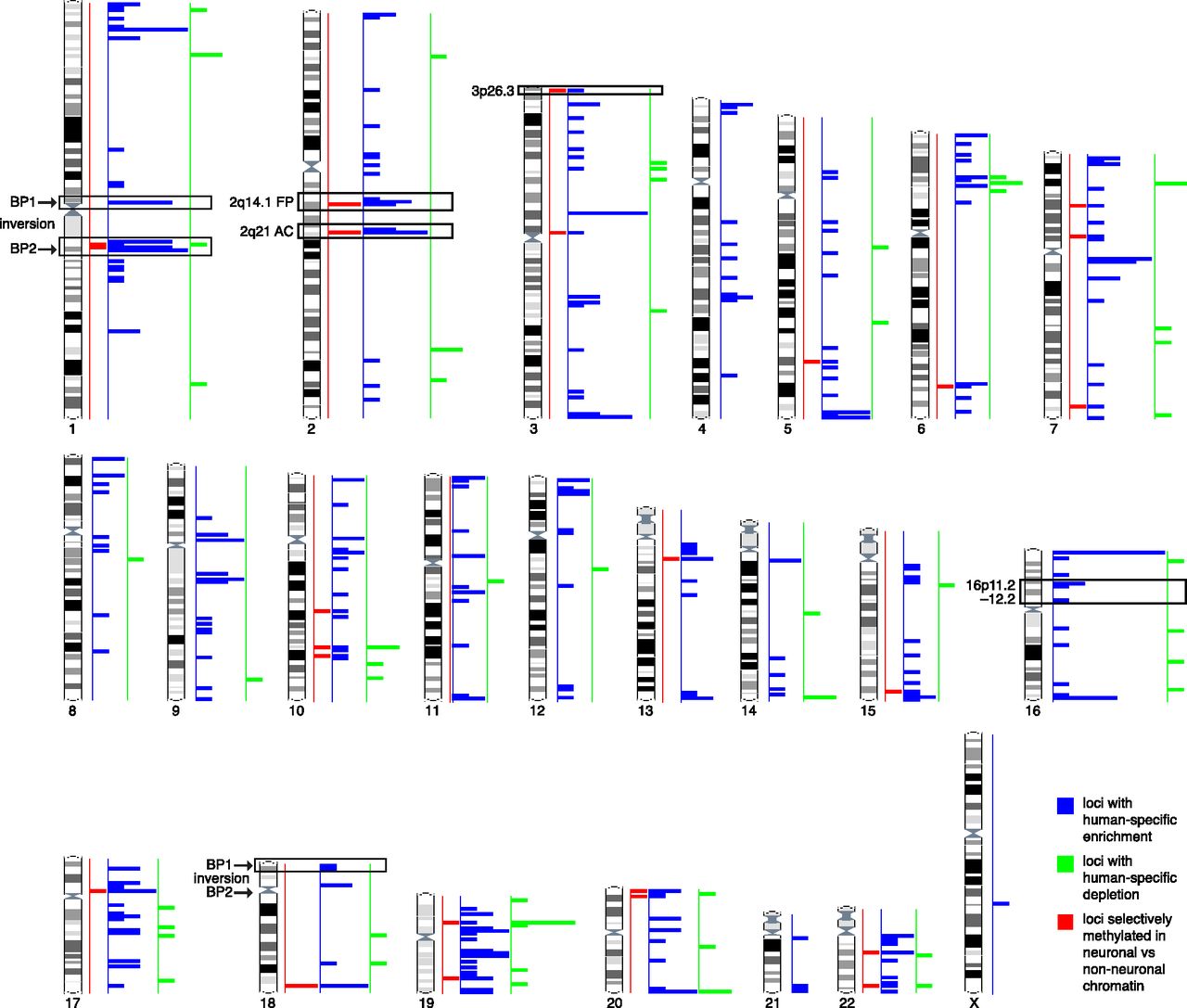 1455fig1