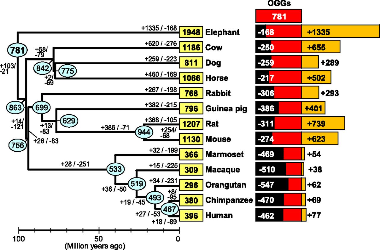 1485fig6