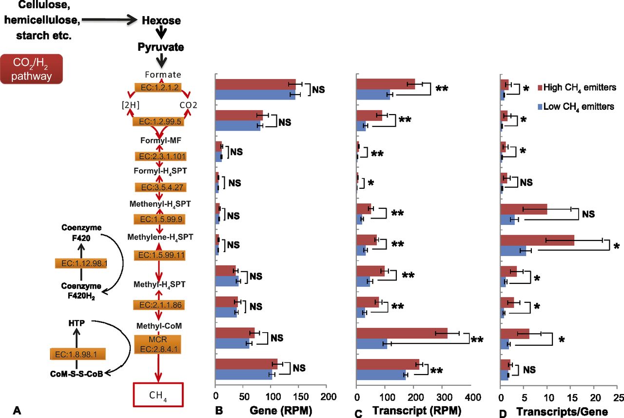 1517fig3