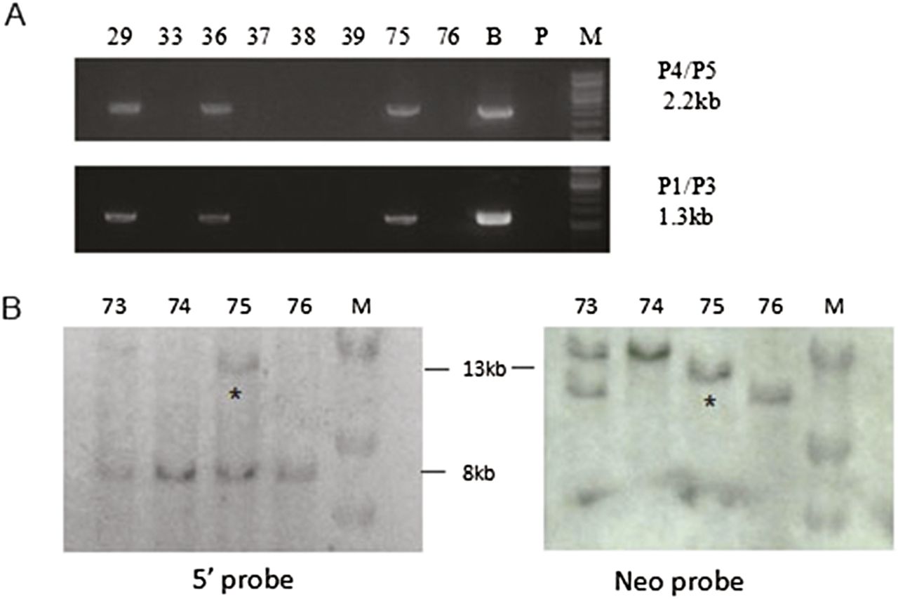 1526fig2