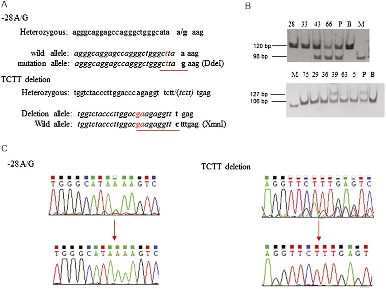 1526fig3