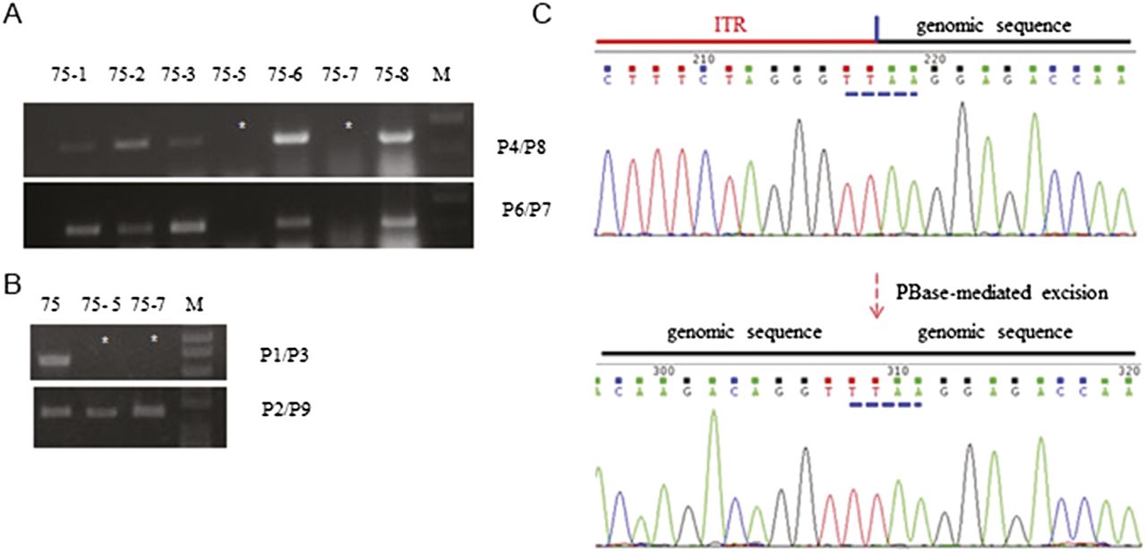 1526fig4