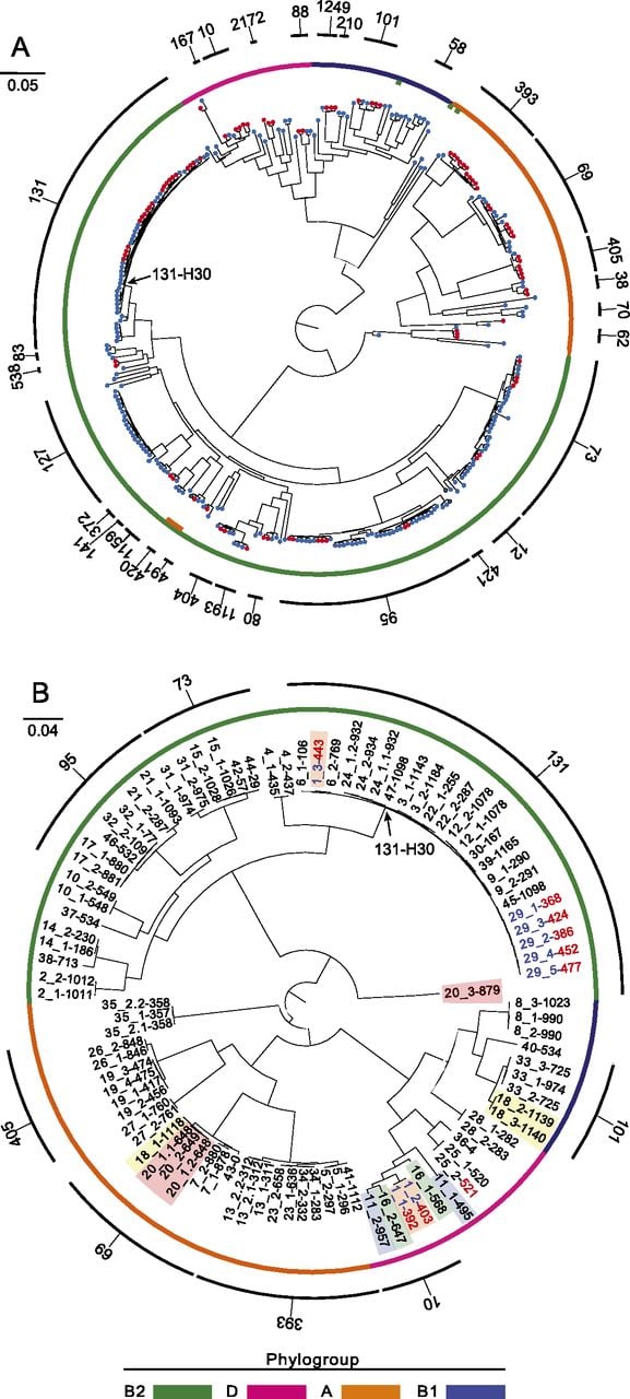 119fig1