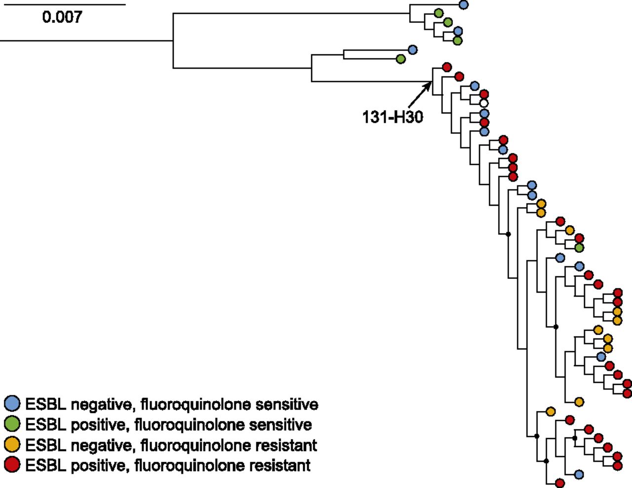 119fig2