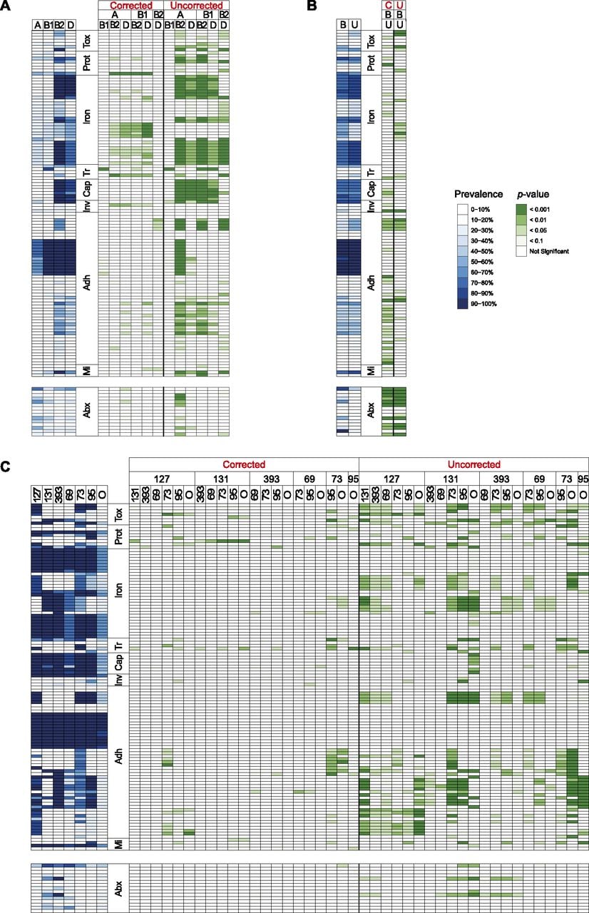 119fig3