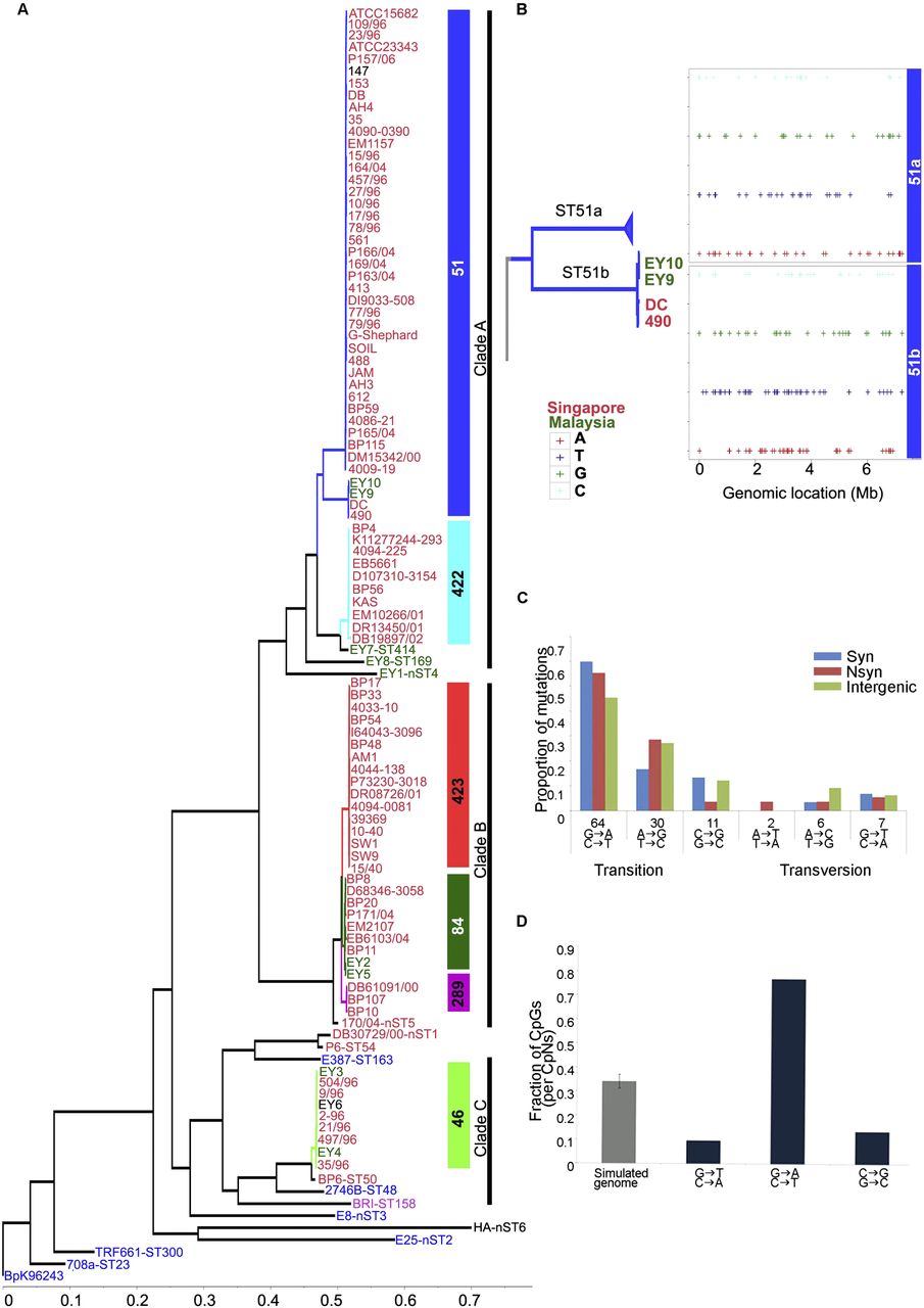 129fig1
