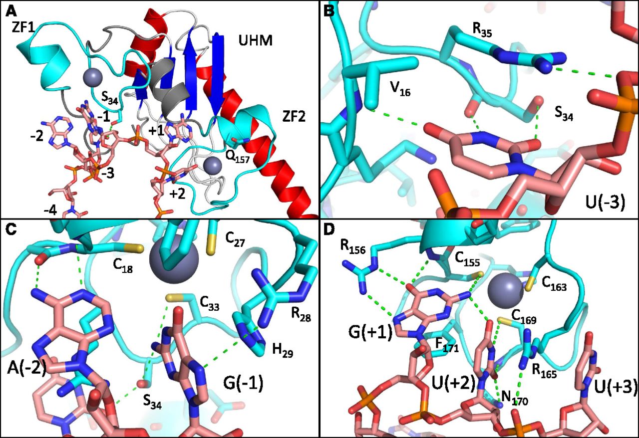 14fig6