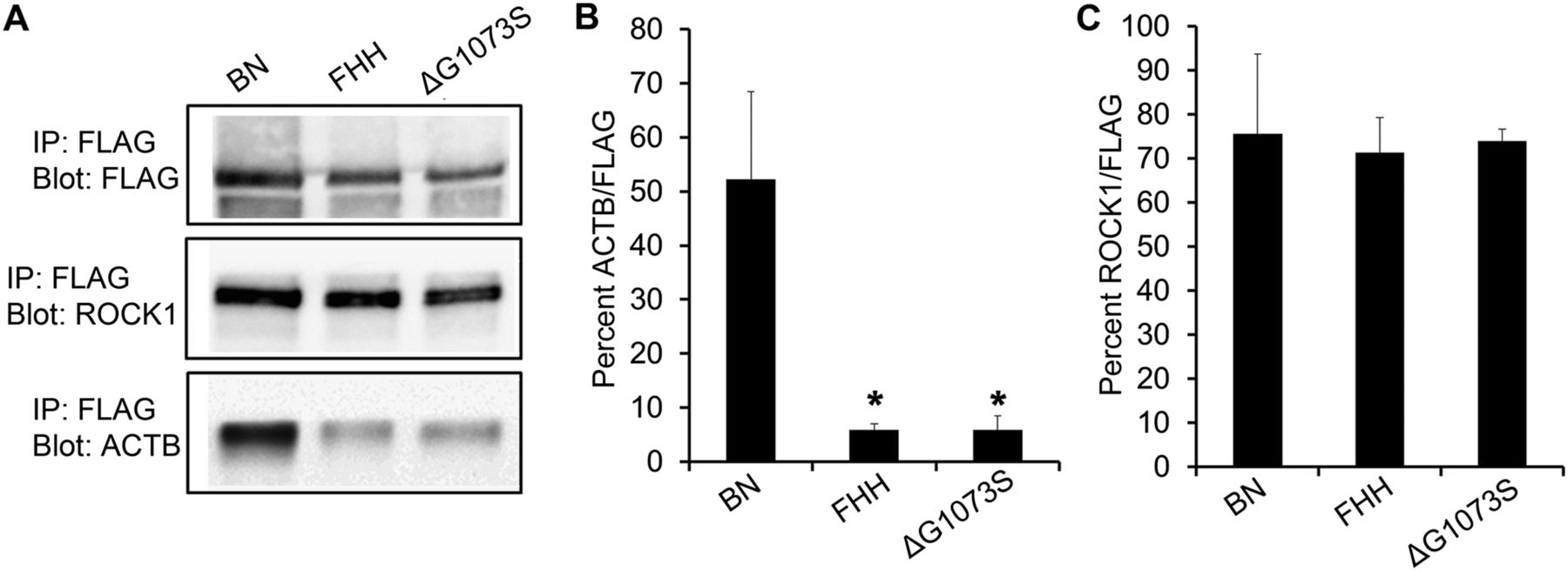 57fig4