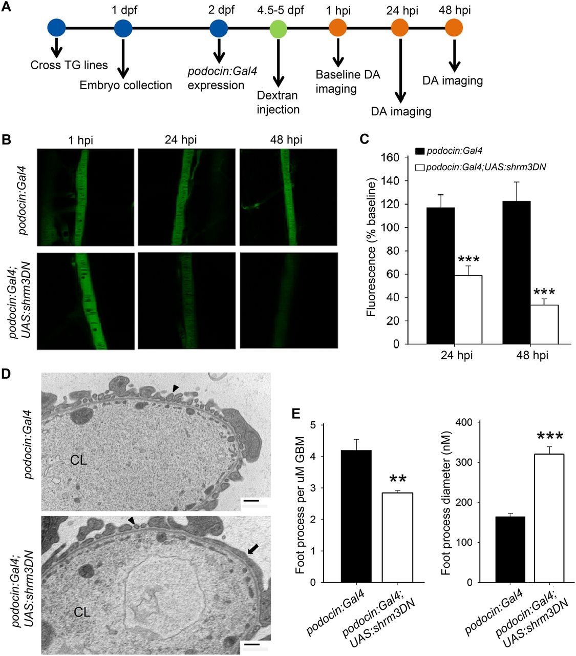 57fig6