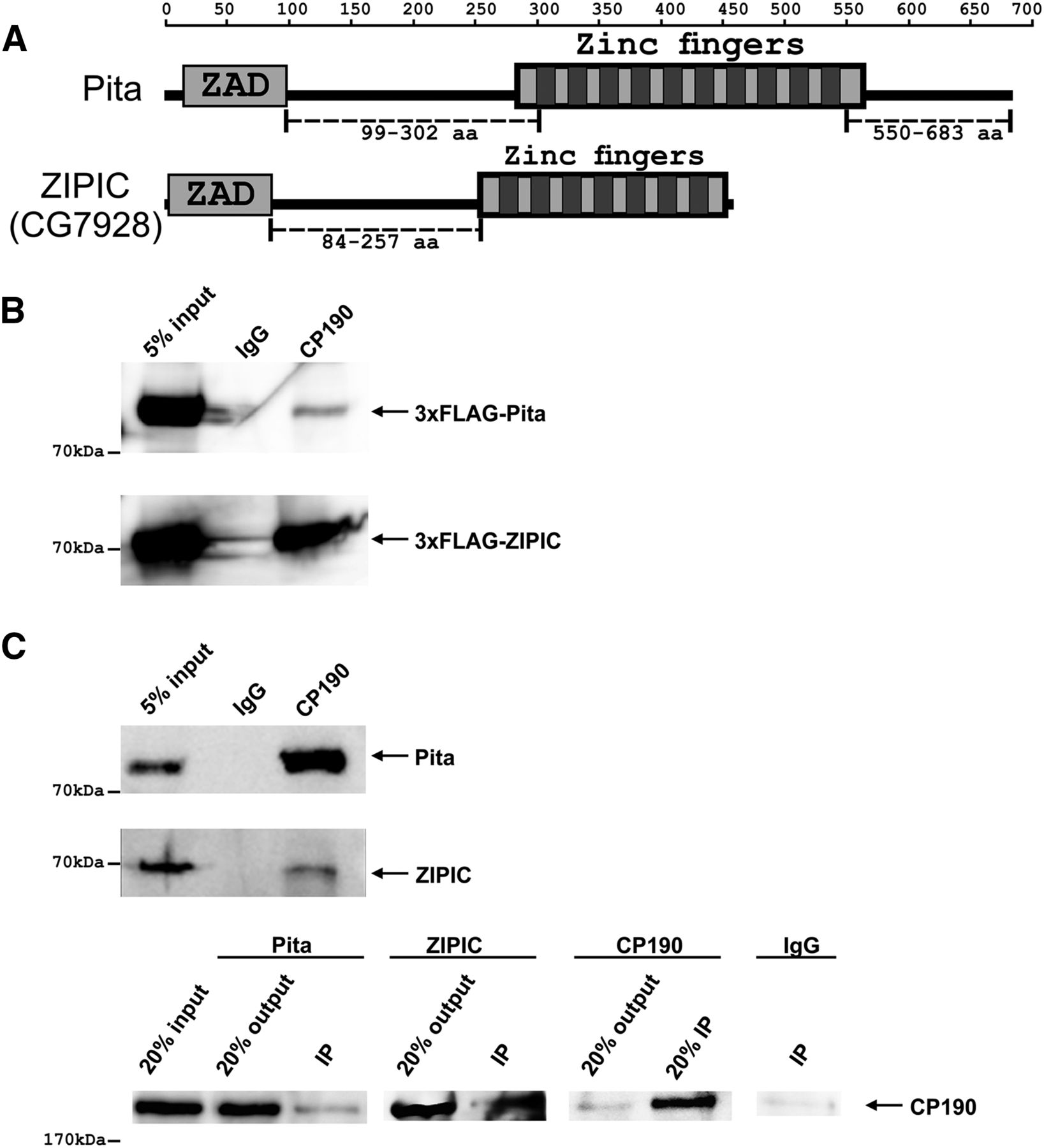 89fig1