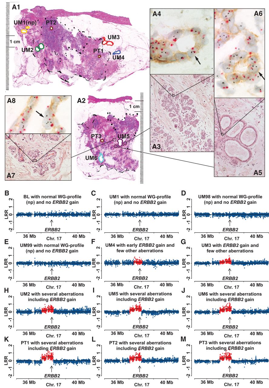 1521f06