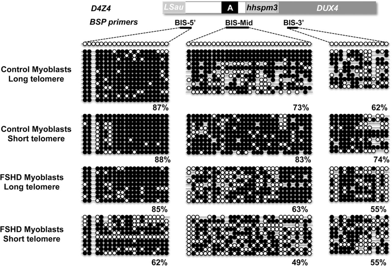 1781f03