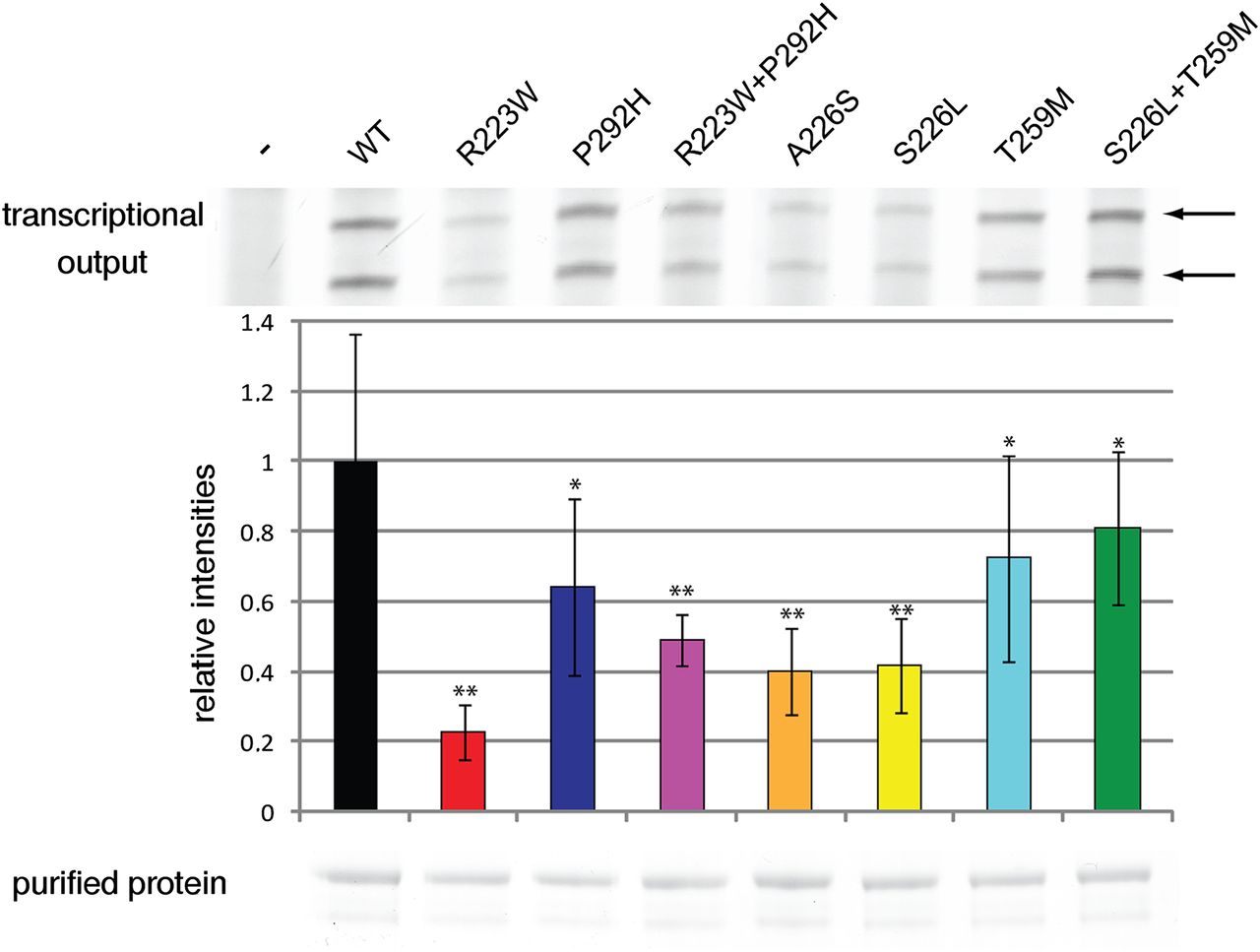 155fig4