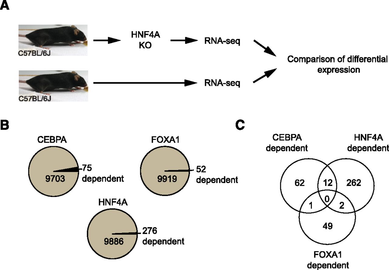 167fig2