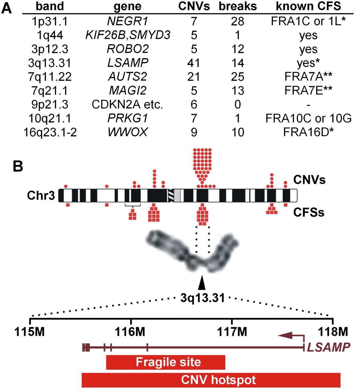 189fig2