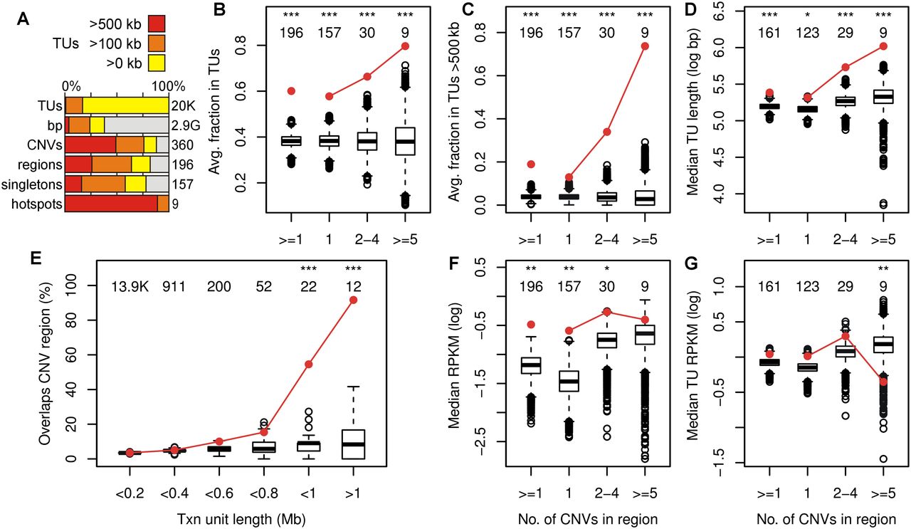 189fig4