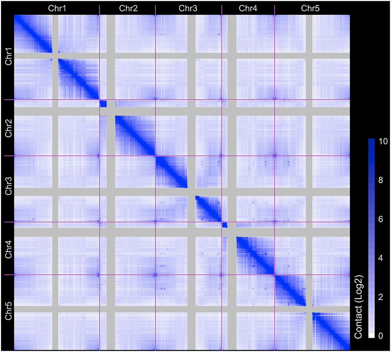 246fig1