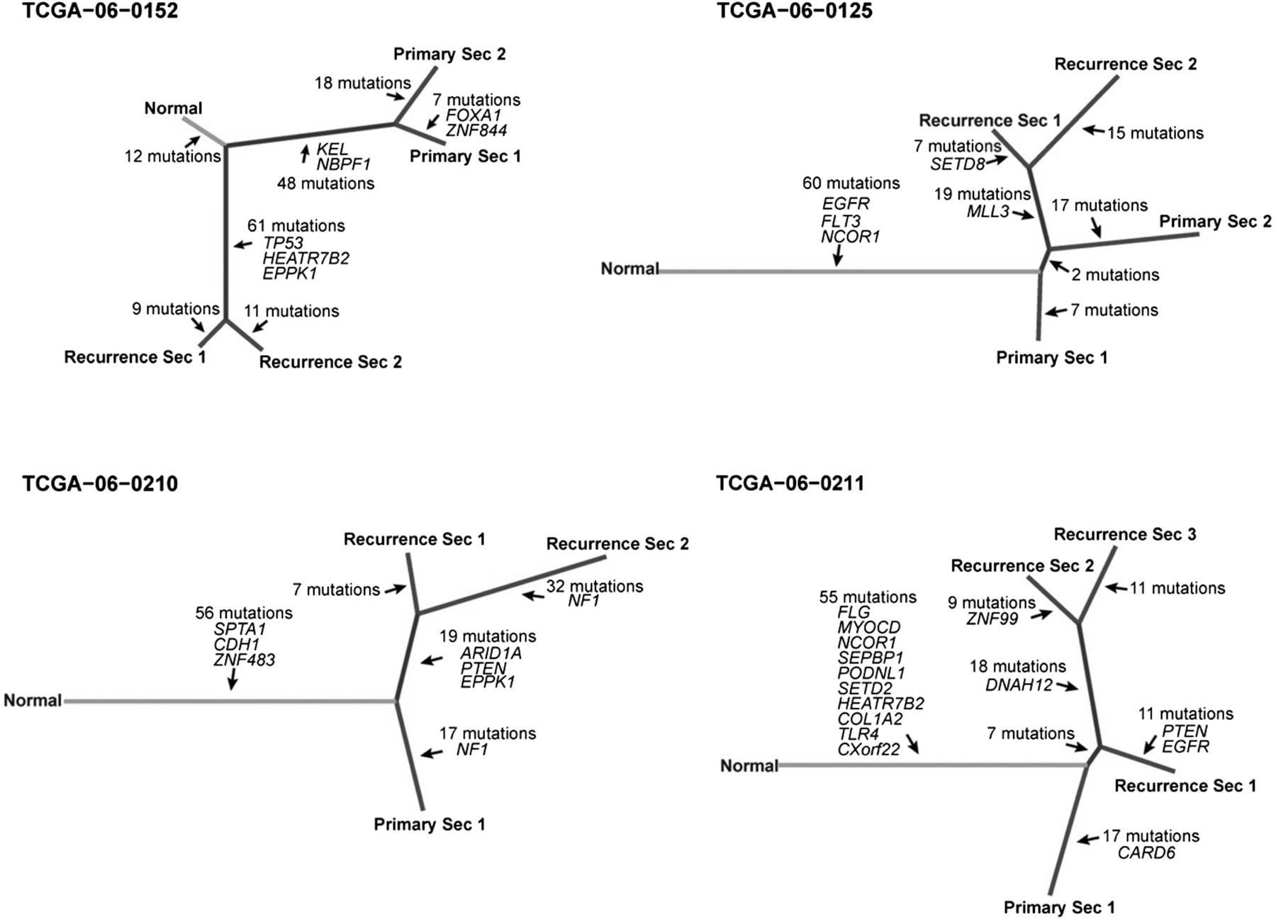 316fig6