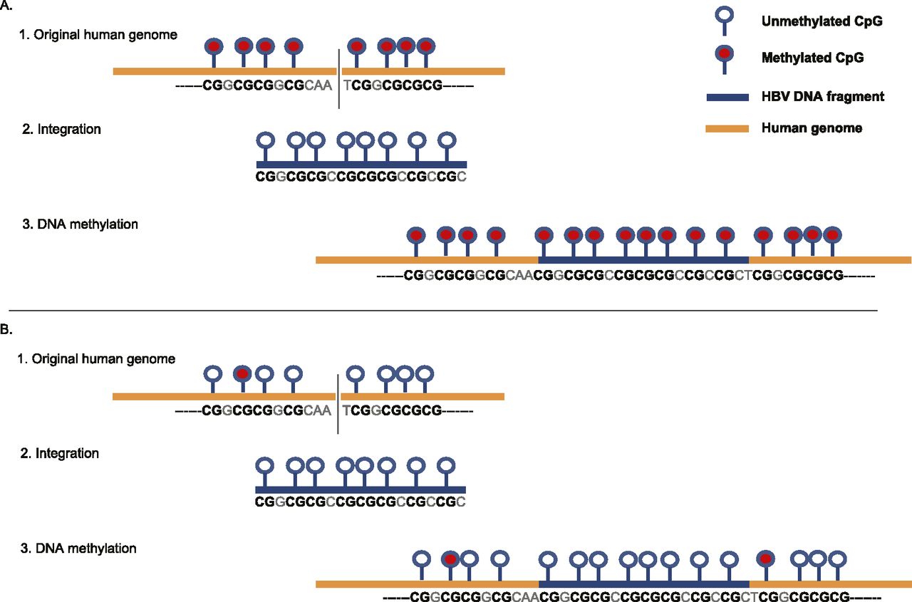 328fig6
