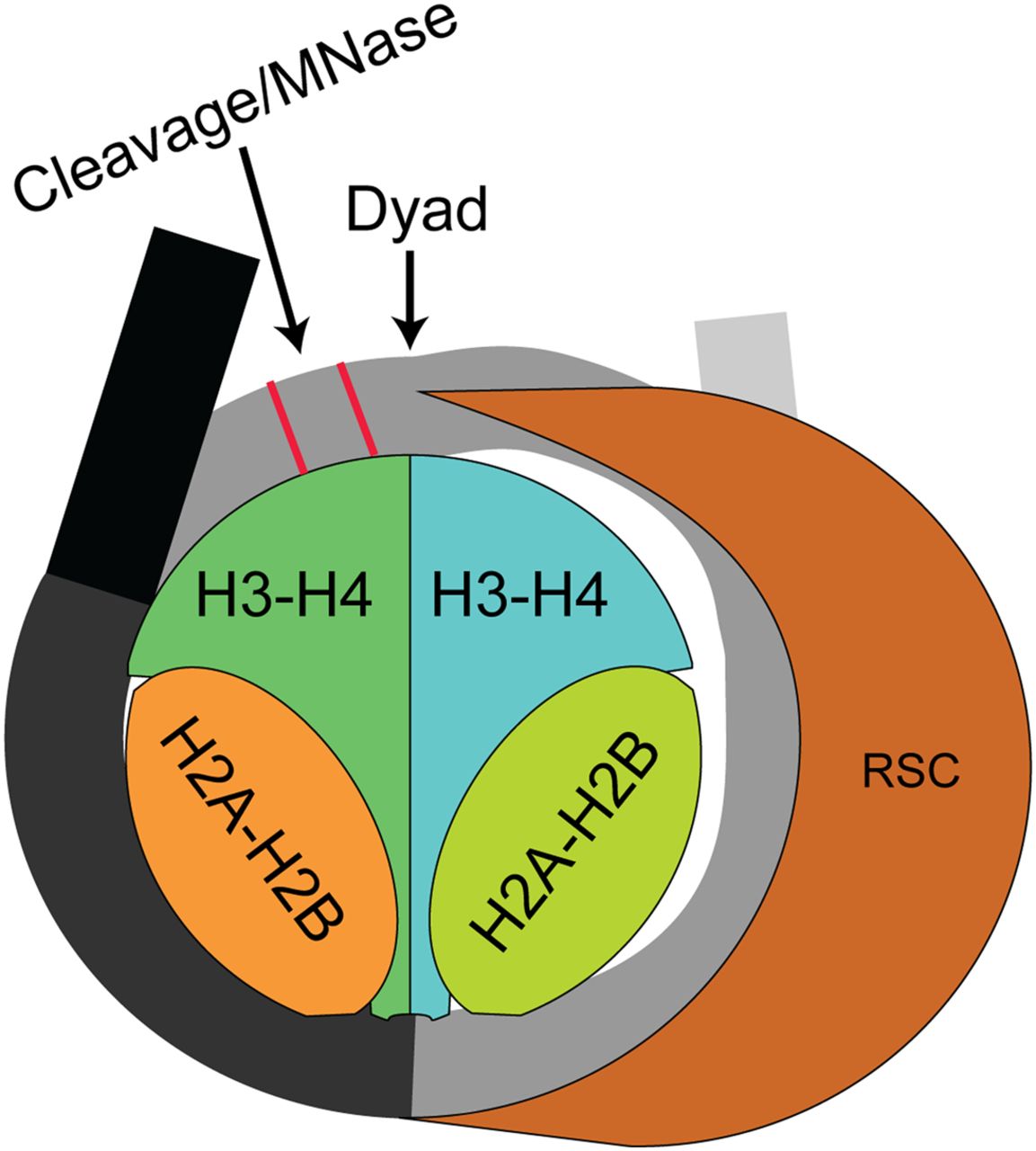 381fig6